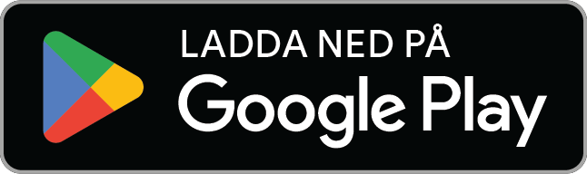 Hämta i Google Play